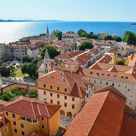 Olive * Zadar