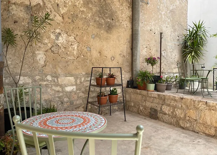 Olive * Zadar